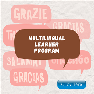 Multilingual Learners